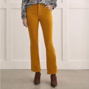 NWT Tribal Fly Front 5 Pocket Corduroy Pant Marigold 12 14